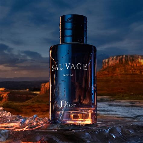 dior suavage perfume|Dior Sauvage cheapest price 100ml.